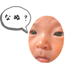 瀧本さんちのいおくん3