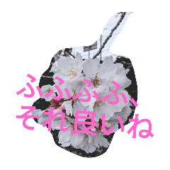 桜の画像スタンプ6