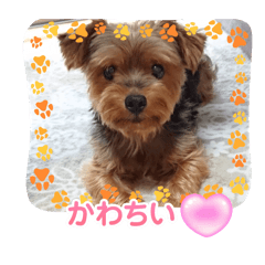 ジュンくんの気持ち