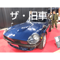 魚〜トカゲ〜車〜