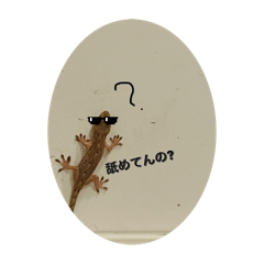 適度に相手を舐めてるトカゲの日常