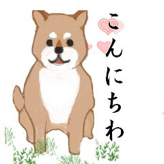 わが家のしばくん