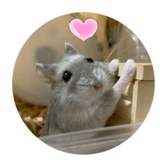 ハムスタースタンプ　1の巻