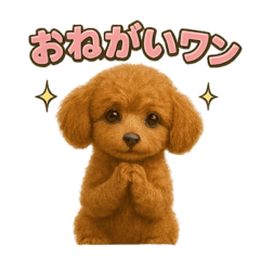 子イヌverトイプードル