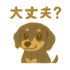 うちのまめとアラちゃん