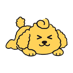 3匹のかわいいトイプー