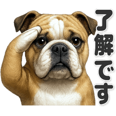 【敬語】使いやすい！ブルドッグ