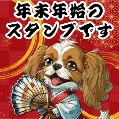 可愛いキャバリアBIG年末年始