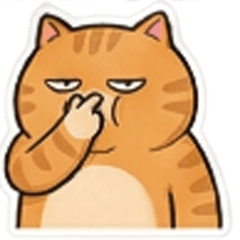 Salary Cat Office Life