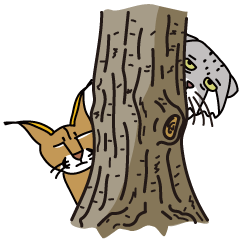 ひょっこり　ネコ科