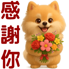 Pomeranian dog*Daily greeting sticker*