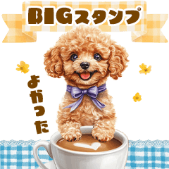トイプードルのBIGスタンプ♡