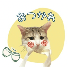 猫の風鈴