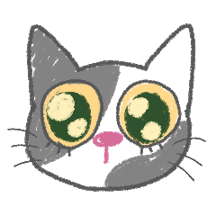 A little gray and white cat