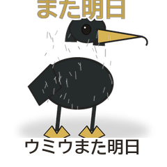 ウミウまた明日