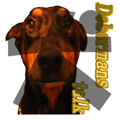 Dobermans talk ver.english