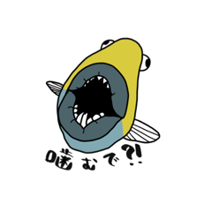 熱帯の海、珊瑚礁で会える魚たち(1)