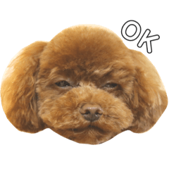 さんびきのといぷー 1