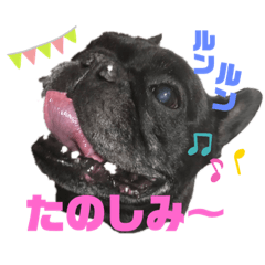 ラブリーフレブル スタンプ