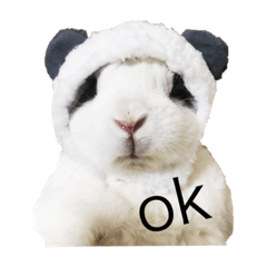 うさちゃんのきもち