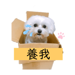 Diana_2019 Leby life