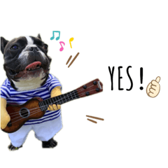 フレンドブルドッグのぶぶくん