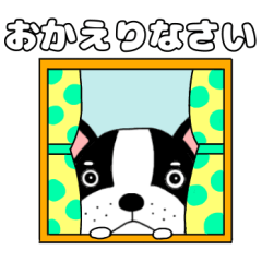 フレンチブルドックのブルちゃん5【敬語】.