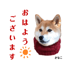 柴犬きなこスタンプ