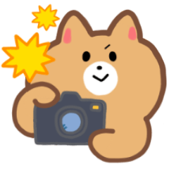 カメラ好きのねこスタンプ(冬用)