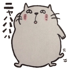 ねこくん