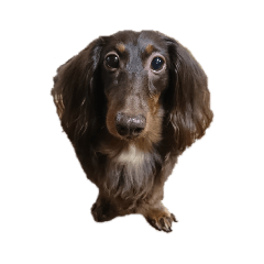 のあちゃんのスタンプ01