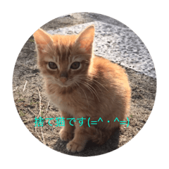 ナッツ’sスタンプ