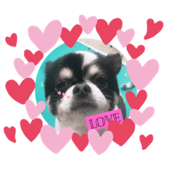 空と愉快な仲間たち