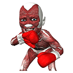 ホントの筋肉さん2