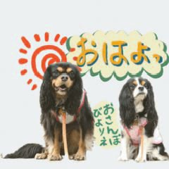 ウチのキャバリアスタンプ