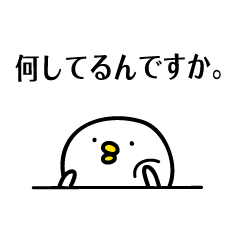 無表情で敬語な鳥