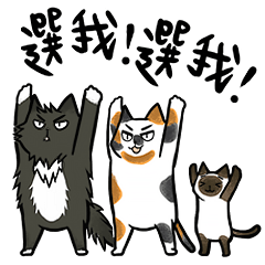 Yam Travel - Chi-Mo Family!