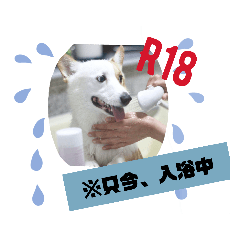 あほポンのスタンプ