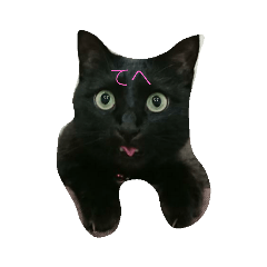 るなのすたんぷ！