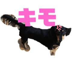 ミニチュア・ダックスのスタンプ