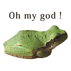 アマガエル　と　英語 English