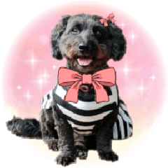 ダップーさくらのスタンプ