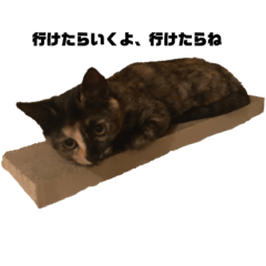 カリン様御朱印