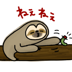 ゆるゆるなまけもの