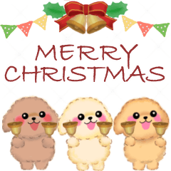 かわいいトイプードル♥ポップアップ