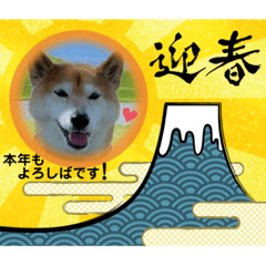 あけおめ♡小梅