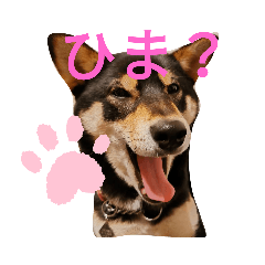 柴犬スタンプ 2