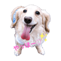 パティです◡̈⃝︎⋆︎*