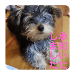 ミカリンスタンプ♪