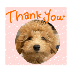 こんにちは、こなです！